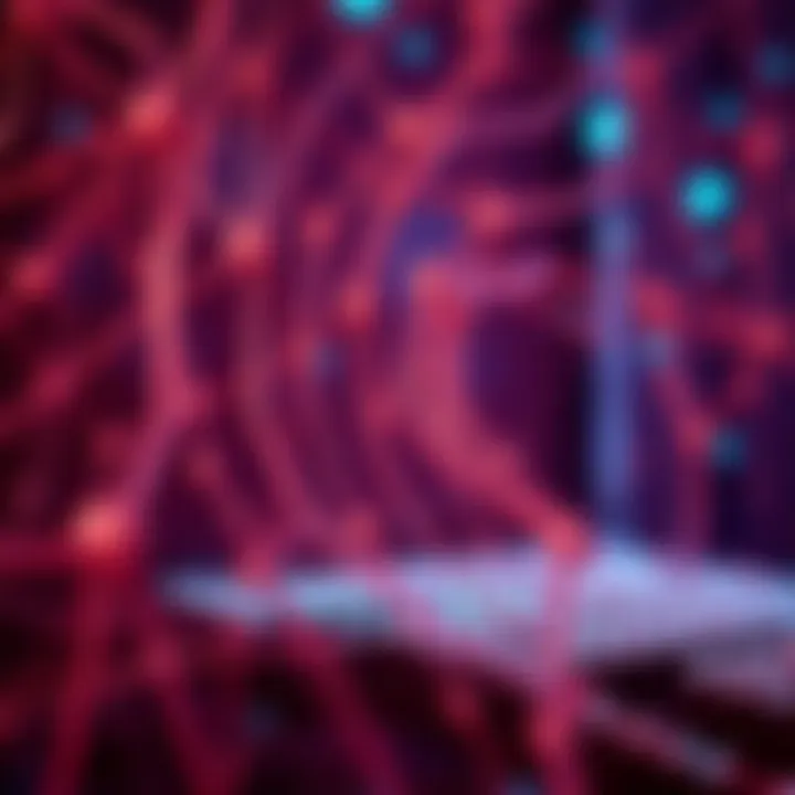Magnificent Advances in Neural Networks: A Comprehensive Exploration