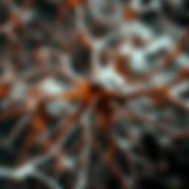 Magnificent Exploring Biological Neuron Networks: Structure, Function, and Implications
