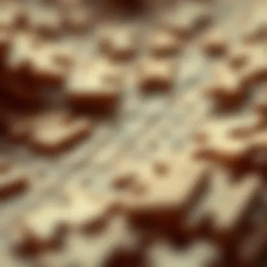 Magnificent Exploring the Complexity of Digit Puzzles Magnificent Exploring the Complexity of Digit Puzzles
