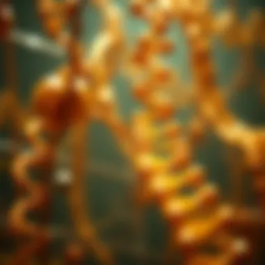 Magnificent Exploring the Genes Junkyard: Understanding Genetic Material's Complexities