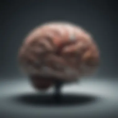 A brain diagram emphasizing cognitive strategies in problem-solving