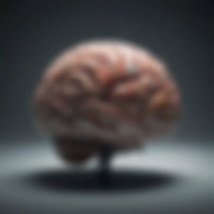 A brain diagram emphasizing cognitive strategies in problem-solving