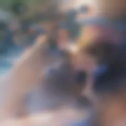 Mathematical concepts illustrated through geometric shapes