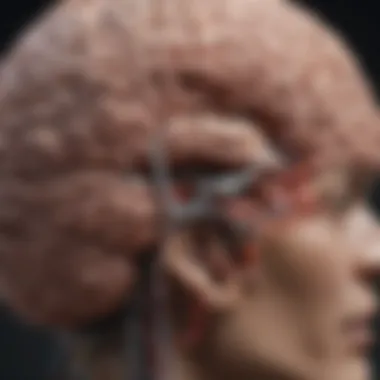 Understanding the Link Between Brain Structure and Behavior Relationship between brain structure and behavior