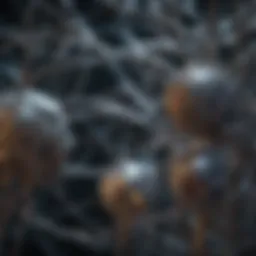 Visual representation of neural networks architecture