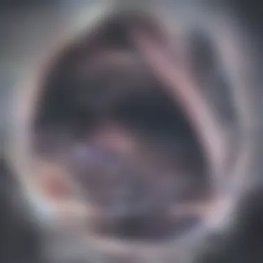 Visualization of the Modern Solar System Modern Understanding of the Solar System