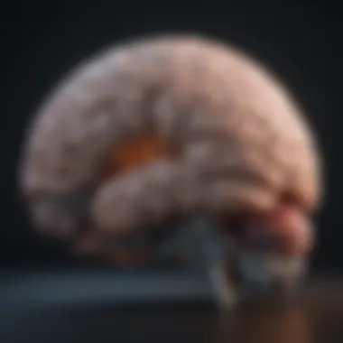 Brain Regions and Their Cognitive Roles Visual representation of brain regions and their functions