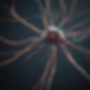 Neuron Activity in Brain Function Diagram illustrating neuron activity