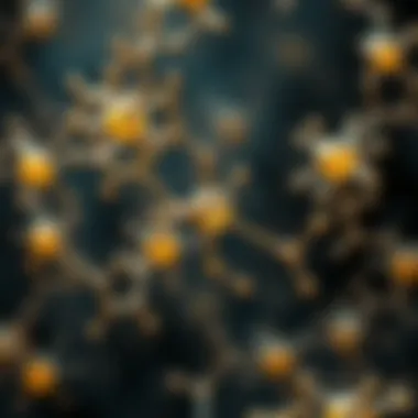 Chemical pathways and their relation to mood disorders