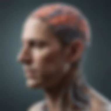 Neuroplasticity and Depression Illustration of neuroplasticity in depressed individuals