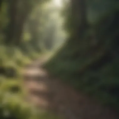 Pathways to Recovery from Depression Recovery pathways from depression