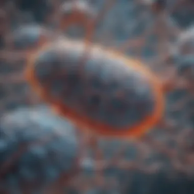 Complex Structure of Mitochondria Illustration depicting the complex structure of mitochondria in brain cells