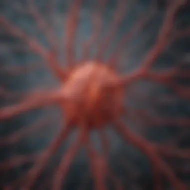 Chart showing the correlation between mitochondrial density and neurodegenerative diseases