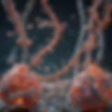 Illustration of gene expression modulation