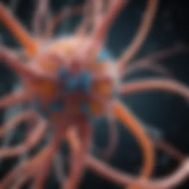 Impact of Epigenetics on Neural Pathways Neural pathways affected by epigenetics