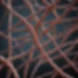 Detailed representation of animal DNA strands