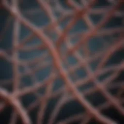 Detailed representation of animal DNA strands