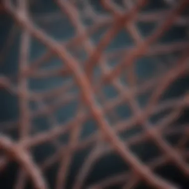 Understanding the Complexity of Animal DNA Detailed representation of animal DNA strands