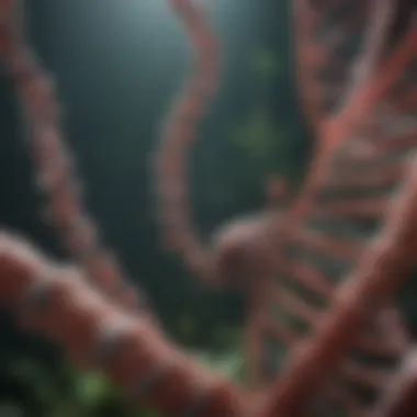 Visual representation of evolutionary insights gained from animal DNA