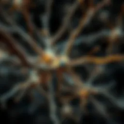Exploring Biological Neuron Networks: Structure, Function, and Implications Introduction