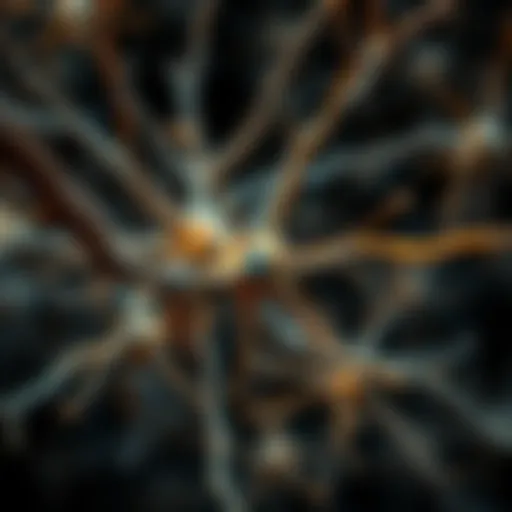 Exploring Biological Neuron Networks: Structure, Function, and Implications Introduction