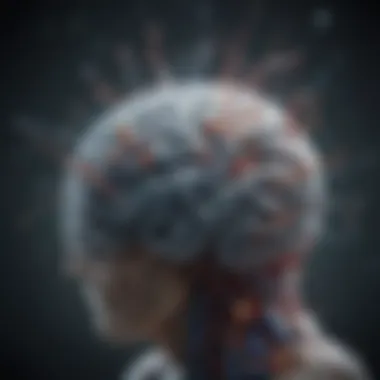 Neurochemistry and Mental Health A brain highlighting neurochemical processes