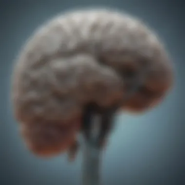 Visualizing Brain Activity and Neural Communication Visualizing brain activity and neural communication