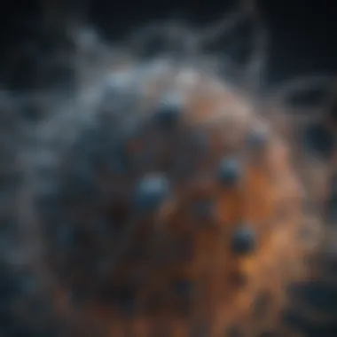Understanding Neural Network Architecture Visualization of neural network architecture