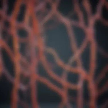 Genetic factors influencing amyloid plaque formation