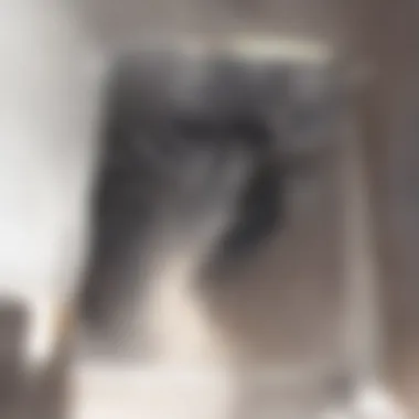 A cat observing its environment showcasing sensory perception