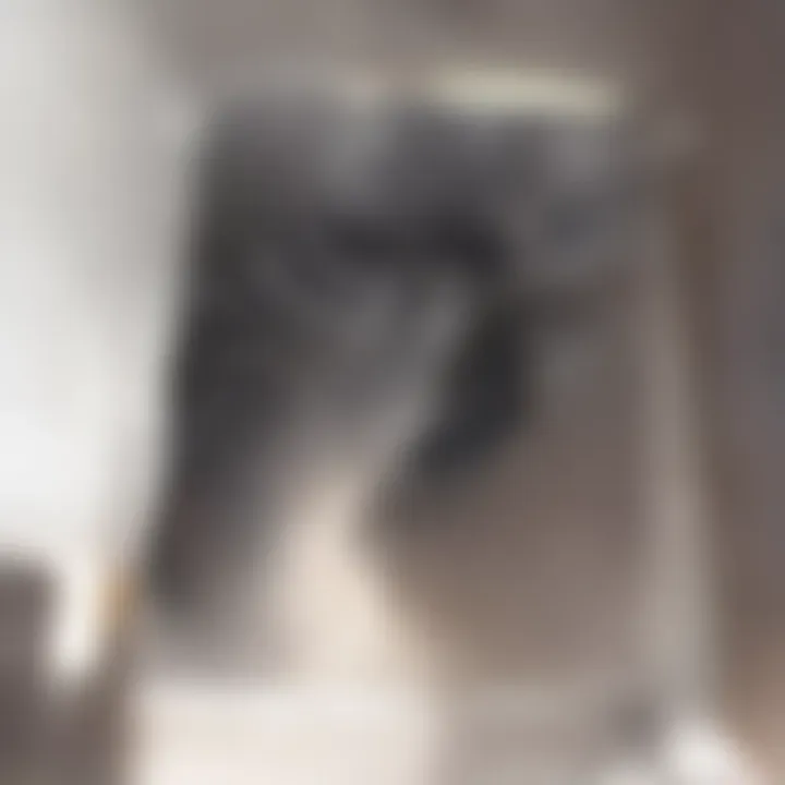 A cat observing its environment showcasing sensory perception