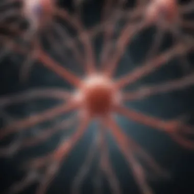 Neuronal damage caused by protein accumulation