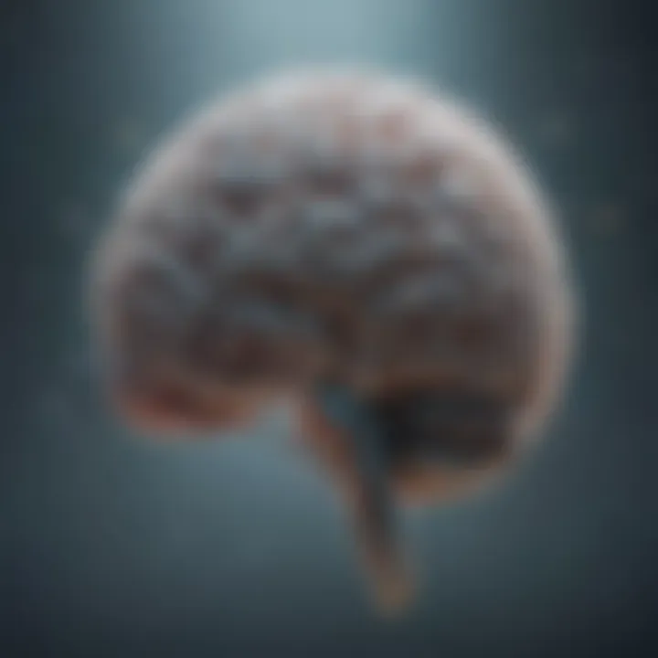 A visual representation of the brain with areas highlighted that are active during dreaming