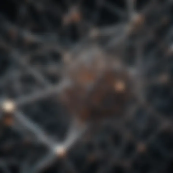 An intricate network representing the interconnections in mathematical research