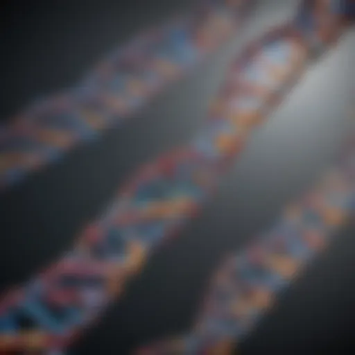 Illustration of DNA methylation patterns