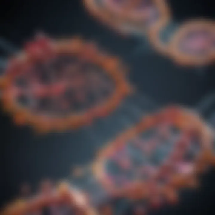 Biochemical pathways of nucleotide synthesis