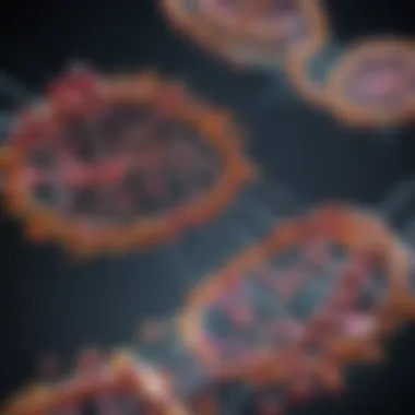 Nucleotide Synthesis Pathways Biochemical pathways of nucleotide synthesis