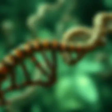 Notable Exploring the Genes Junkyard: Understanding Genetic Material's Complexities