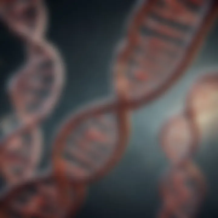 Illustration of DNA helix structure