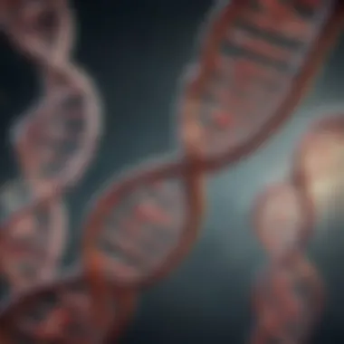 The Elegant Structure of DNA Illustration of DNA helix structure