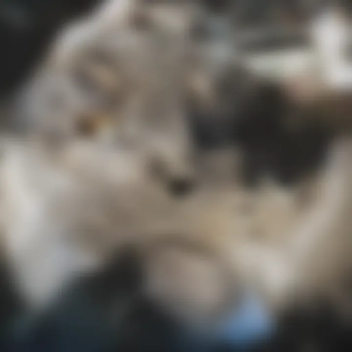 Conceptual image of information encoding