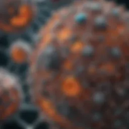 Microscopic view of cellular structures involved in aging