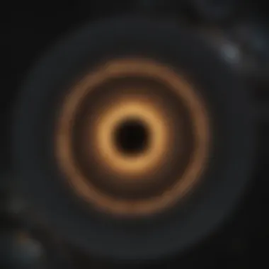 An infographic showcasing the life cycles of stars as observed by the James Webb Telescope.