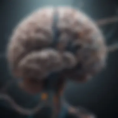 Biological Dimensions of Depression A brain with neural pathways highlighted, representing biological factors of depression.