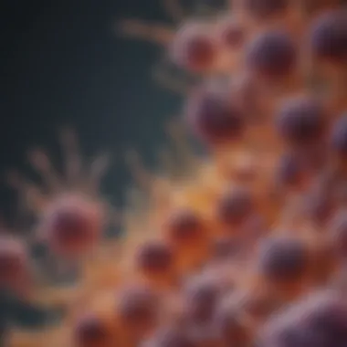 Interaction of Immune Checkpoint Receptors Illustration of immune checkpoint receptors interaction