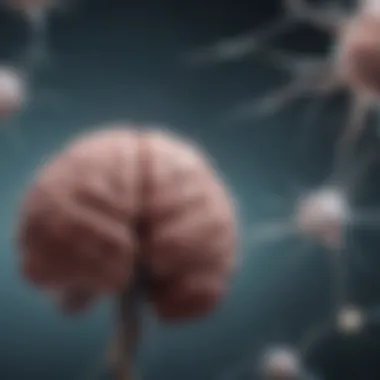 Interdisciplinary Collaboration in Neuroscience Abstract concept of interdisciplinary collaboration in neuroscience