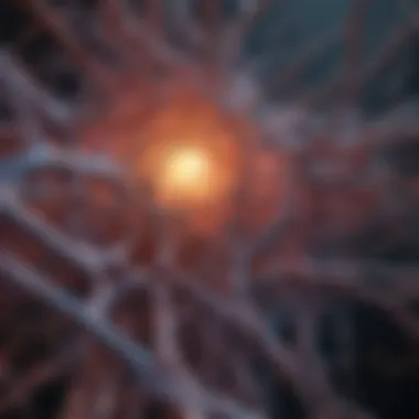 A visual depiction of empirical studies exploring the role of microtubules in consciousness.