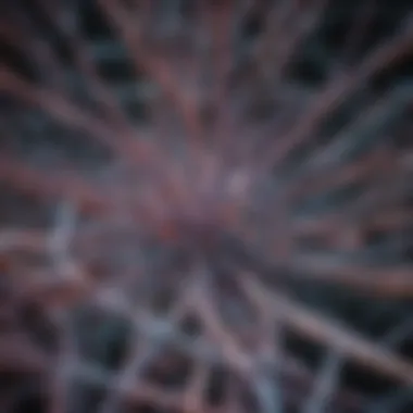 Structural Overview of Microtubules A detailed diagram showcasing the structure of microtubules within a cell.