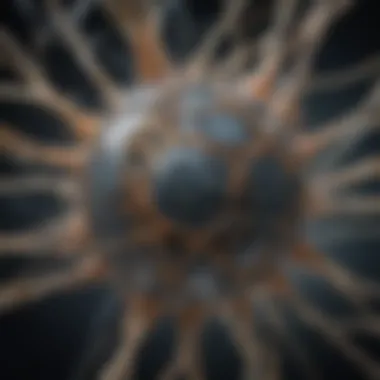 Illustration of Neural Network Architecture
