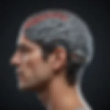 Alterations in Brain Connectivity Due to Depression Visual representation of brain connectivity changes
